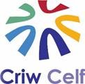 Apply to Join Criw Celf Gwynedd 2019